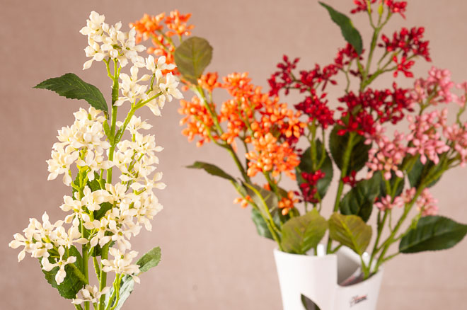 F403-VIBURNUM TINUS 58 cm všechny barvy